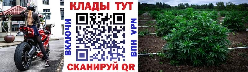 Наркошоп купить Alpha PVP  МАРИХУАНА  Метадон  Гашиш  АМФ  NBOMe  МЕФ  COCAIN  Горняк