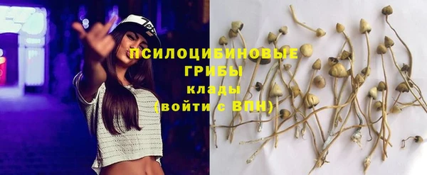 крисы Беломорск