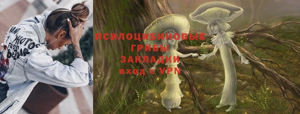 амф Белокуриха