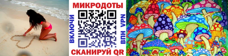 Псилоцибиновые грибы GOLDEN TEACHER  Купить закладки  Горняк 